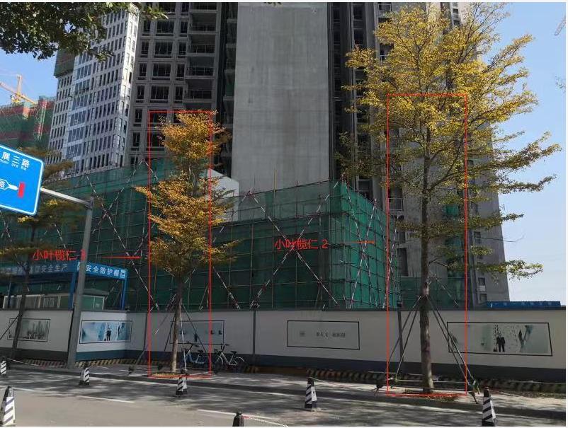 圖片3.jpg 圖片3.jpg